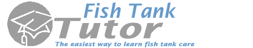 Fish Tank Tutor